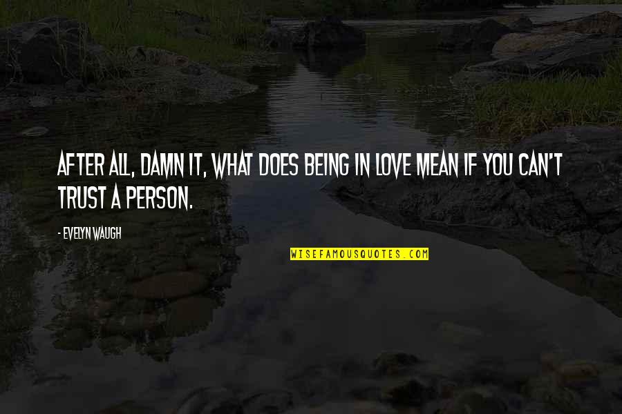 What's Love Without Trust Quotes By Evelyn Waugh: After all, damn it, what does being in