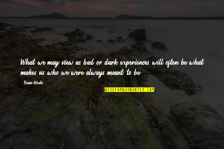 What's Meant To Be Will Always Be Quotes By Beem Weeks: What we may view as bad or dark