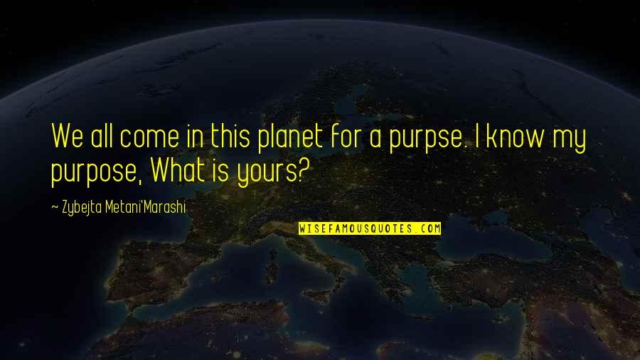 What's My Purpose Quotes By Zybejta Metani'Marashi: We all come in this planet for a