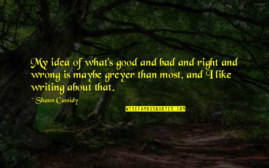 What's Right And Wrong Quotes By Shaun Cassidy: My idea of what's good and bad and