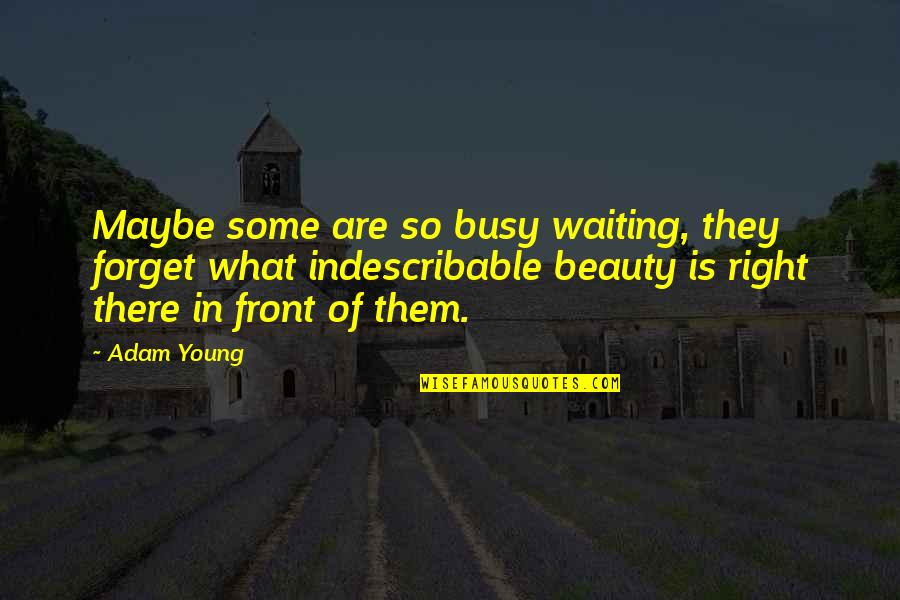 What's Right In Front Of You Quotes By Adam Young: Maybe some are so busy waiting, they forget