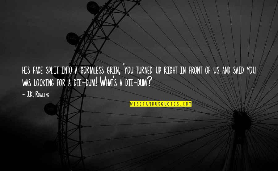 What's Right In Front Of You Quotes By J.K. Rowling: his face split into a gormless grin, 'you