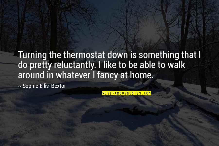 Whats Worth It Quotes By Sophie Ellis-Bextor: Turning the thermostat down is something that I