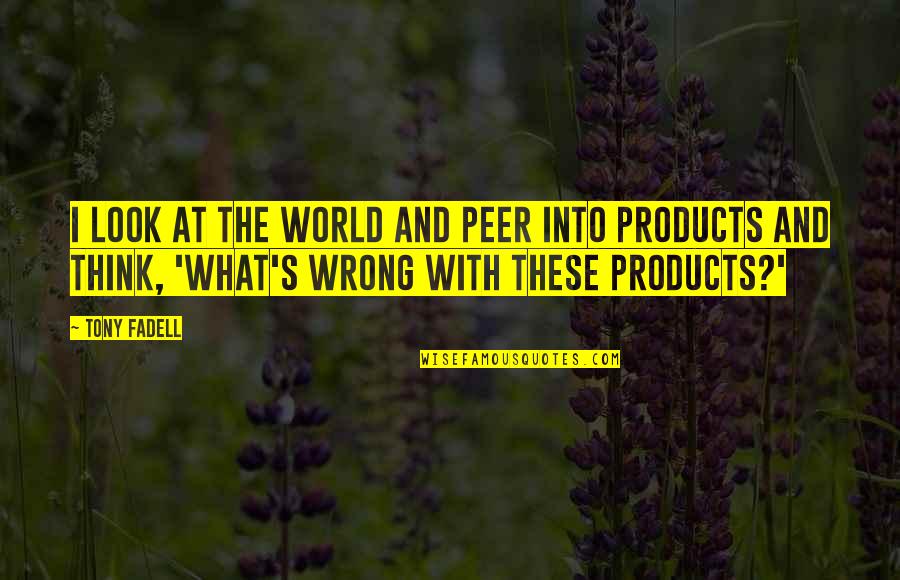 What's Wrong With The World Quotes By Tony Fadell: I look at the world and peer into