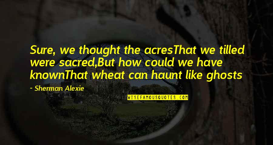 Wheat Germ Quotes By Sherman Alexie: Sure, we thought the acresThat we tilled were