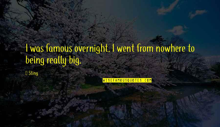 Wheat Poems Quotes By Sting: I was famous overnight. I went from nowhere