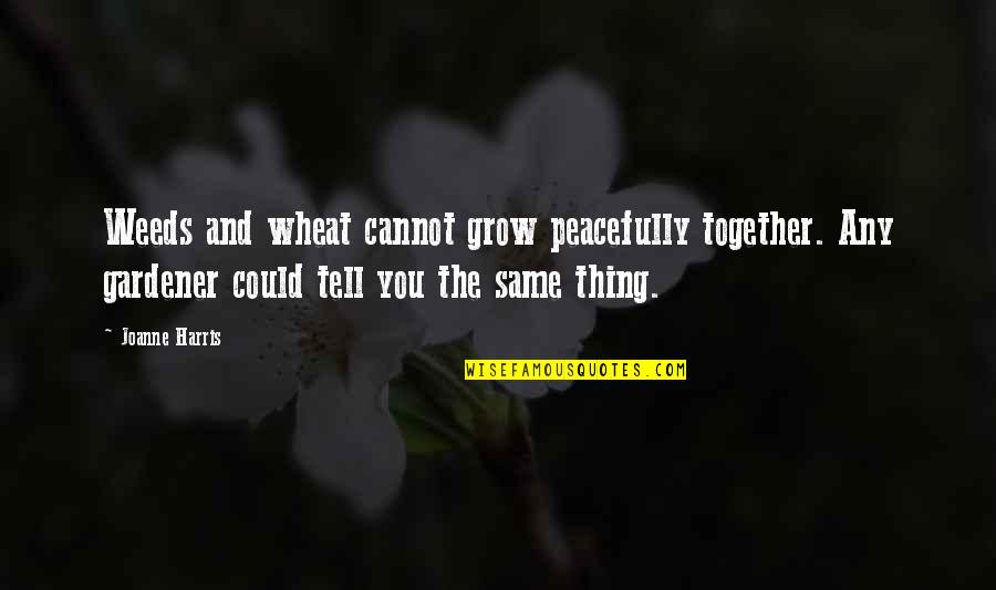Wheat Quotes By Joanne Harris: Weeds and wheat cannot grow peacefully together. Any Wheat Quotes By Joanne Harris: Weeds and wheat cannot grow peacefully together. Any