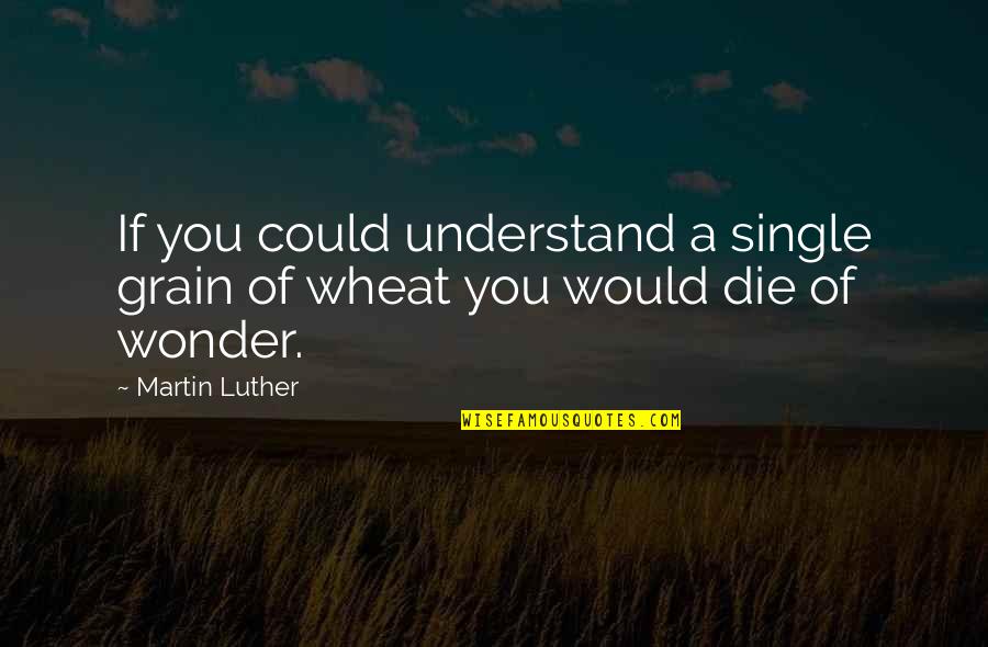 Wheat Quotes By Martin Luther: If you could understand a single grain of