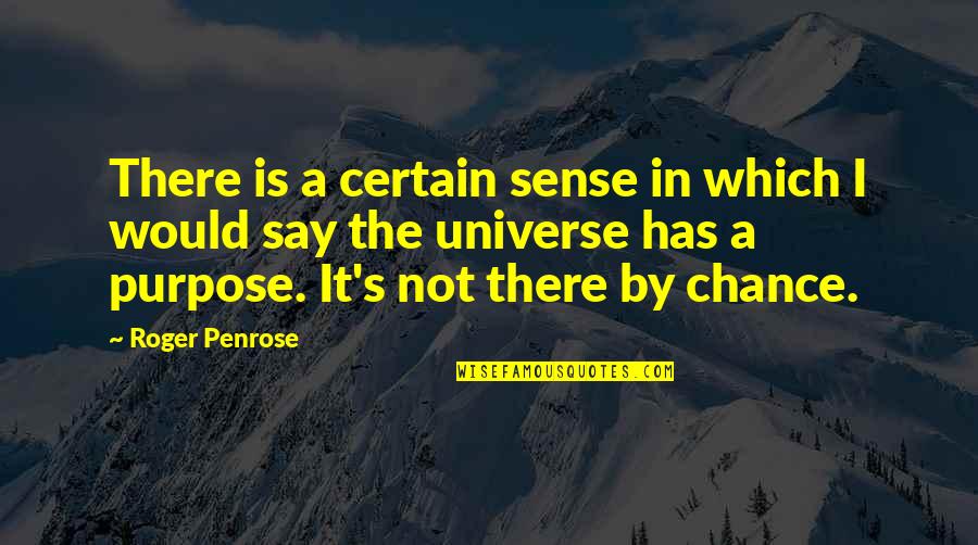 Wheather Quotes By Roger Penrose: There is a certain sense in which I