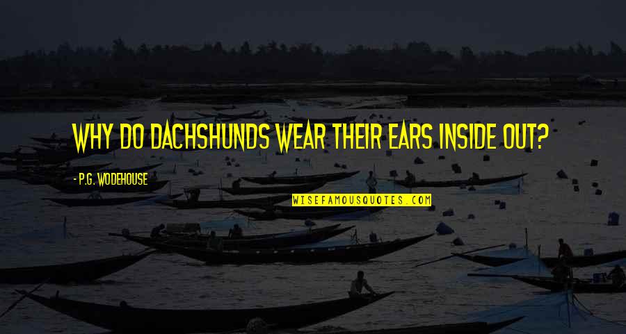 Wheele Quotes By P.G. Wodehouse: Why do dachshunds wear their ears inside out? Wheele Quotes By P.G. Wodehouse: Why do dachshunds wear their ears inside out?