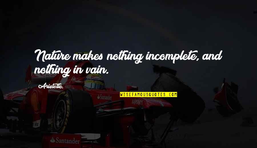Wheeling Guys Quotes By Aristotle.: Nature makes nothing incomplete, and nothing in vain.