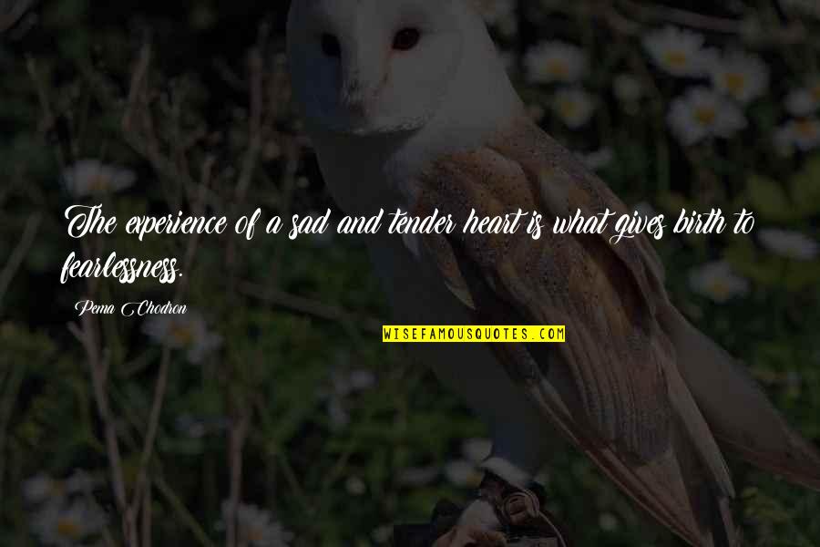 Wheeling Quotes By Pema Chodron: The experience of a sad and tender heart