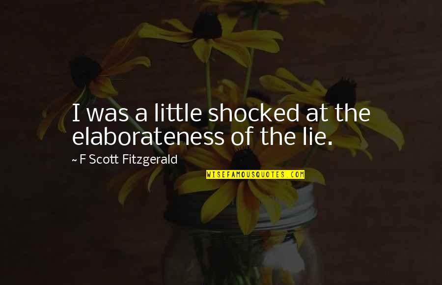 Wheezywaiter Quotes By F Scott Fitzgerald: I was a little shocked at the elaborateness Wheezywaiter Quotes By F Scott Fitzgerald: I was a little shocked at the elaborateness