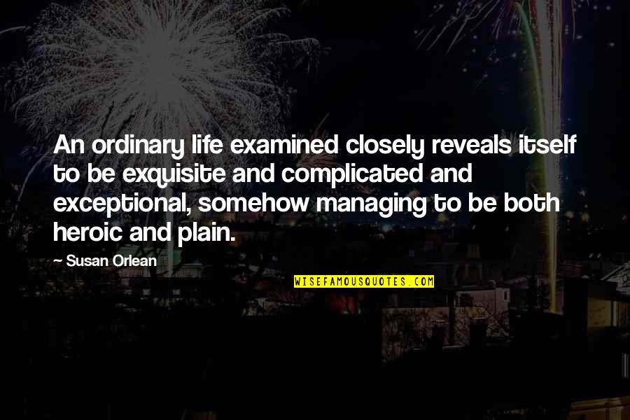 When A Young Child Dies Quotes By Susan Orlean: An ordinary life examined closely reveals itself to