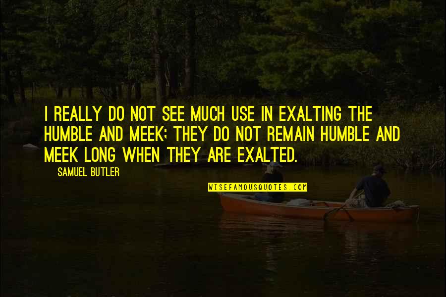 When Do I Use Quotes By Samuel Butler: I really do not see much use in When Do I Use Quotes By Samuel Butler: I really do not see much use in