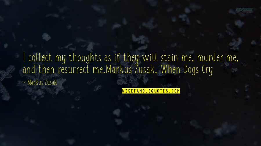 When Dogs Cry Quotes By Markus Zusak: I collect my thoughts as if they will