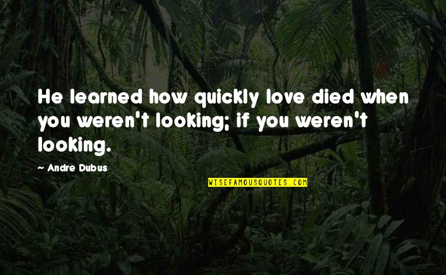 When He's Looking At You Quotes By Andre Dubus: He learned how quickly love died when you