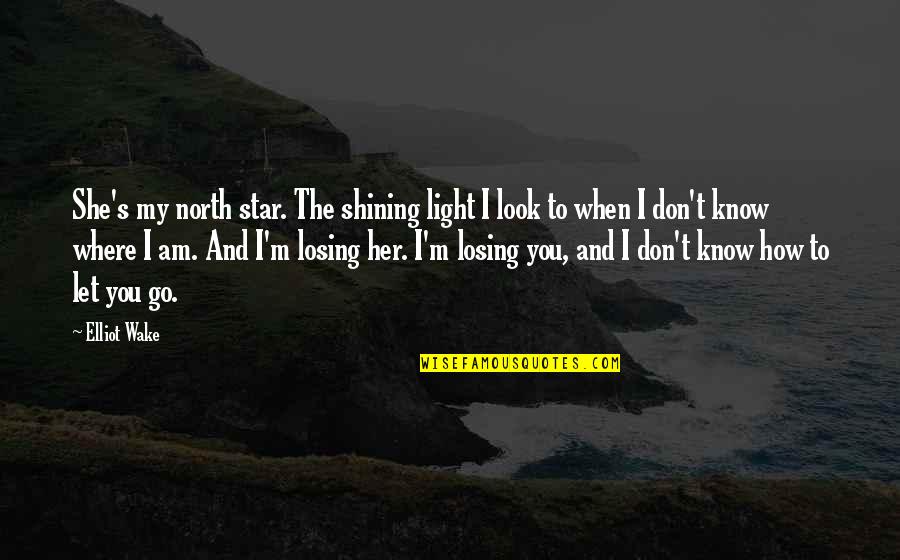When I Let Go Quotes By Elliot Wake: She's my north star. The shining light I