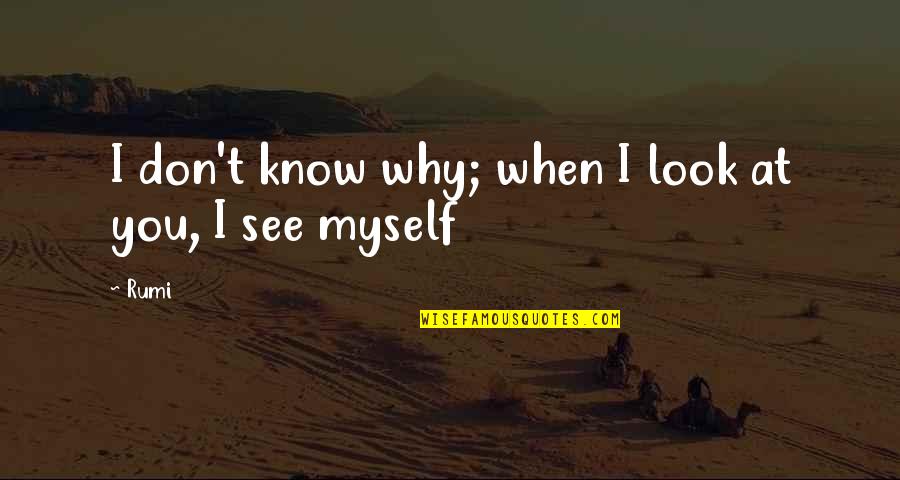 When I Look At You Quotes By Rumi: I don't know why; when I look at