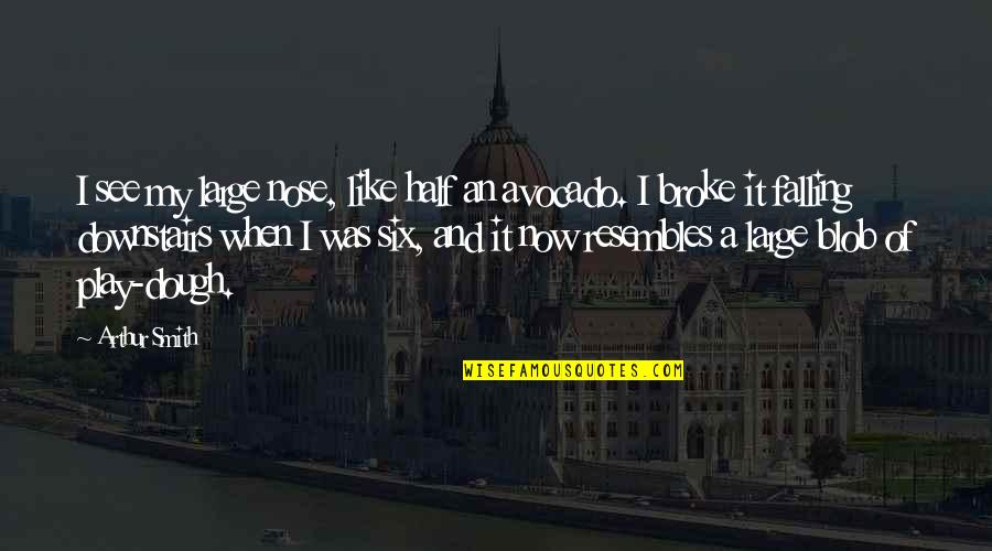 When I Was Broke Quotes By Arthur Smith: I see my large nose, like half an