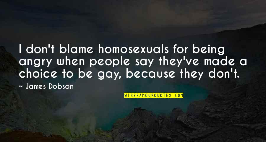 When I'm Angry Quotes By James Dobson: I don't blame homosexuals for being angry when