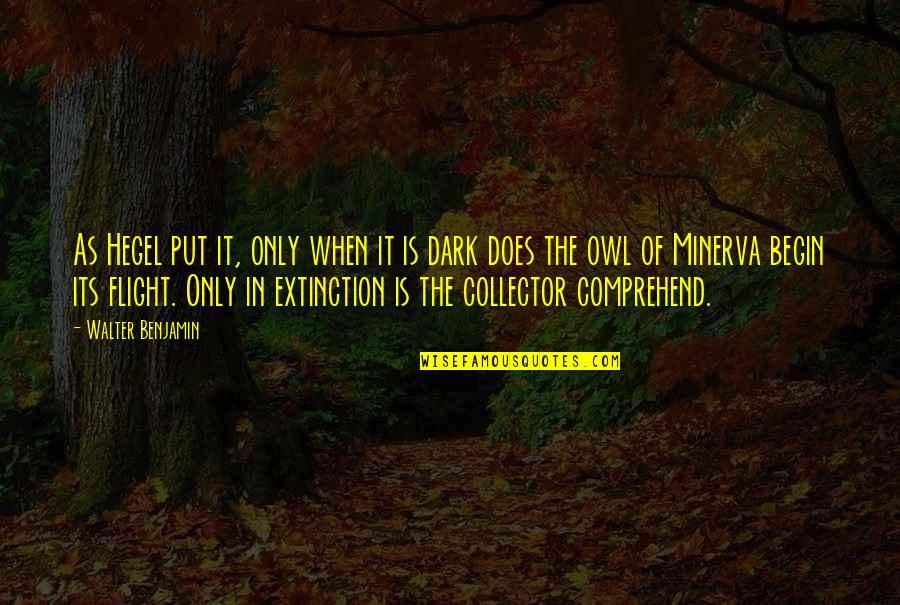 When Its Dark Out Quotes By Walter Benjamin: As Hegel put it, only when it is When Its Dark Out Quotes By Walter Benjamin: As Hegel put it, only when it is