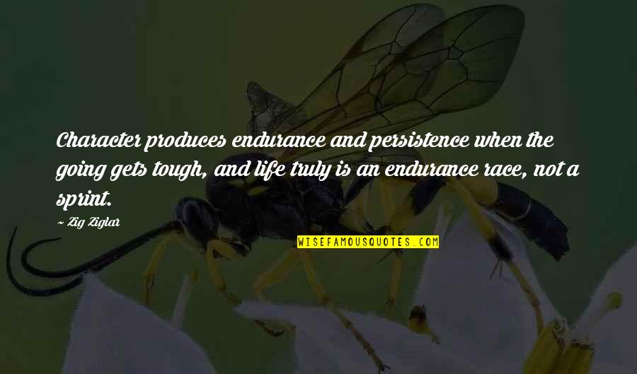 When Life Gets Tough Quotes By Zig Ziglar: Character produces endurance and persistence when the going