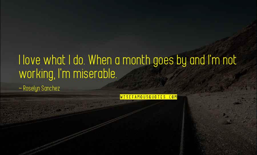 When Love Goes Quotes By Roselyn Sanchez: I love what I do. When a month
