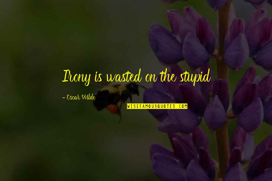 When Marriage Fails Quotes By Oscar Wilde: Irony is wasted on the stupid