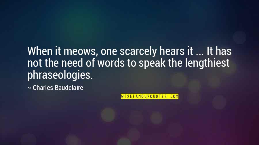 When Not To Speak Quotes By Charles Baudelaire: When it meows, one scarcely hears it ...