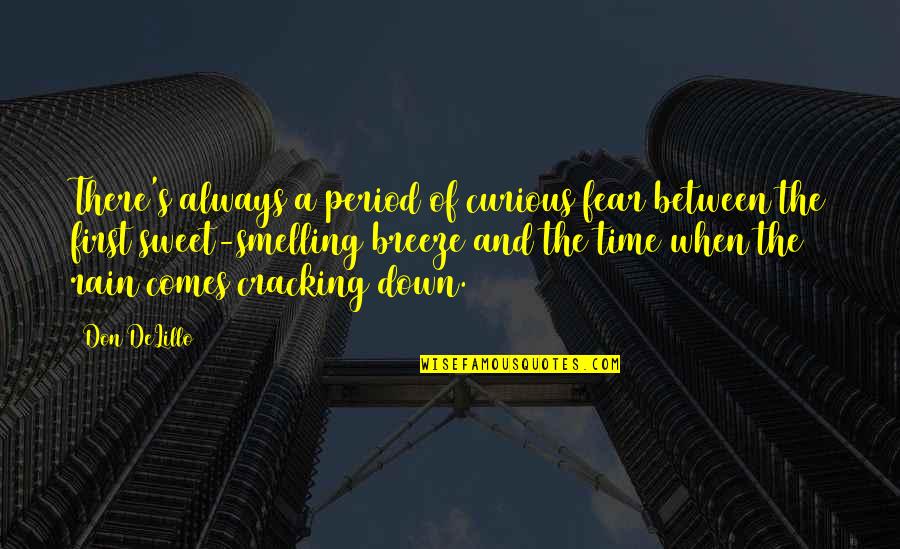 When Our Time Comes Quotes By Don DeLillo: There's always a period of curious fear between