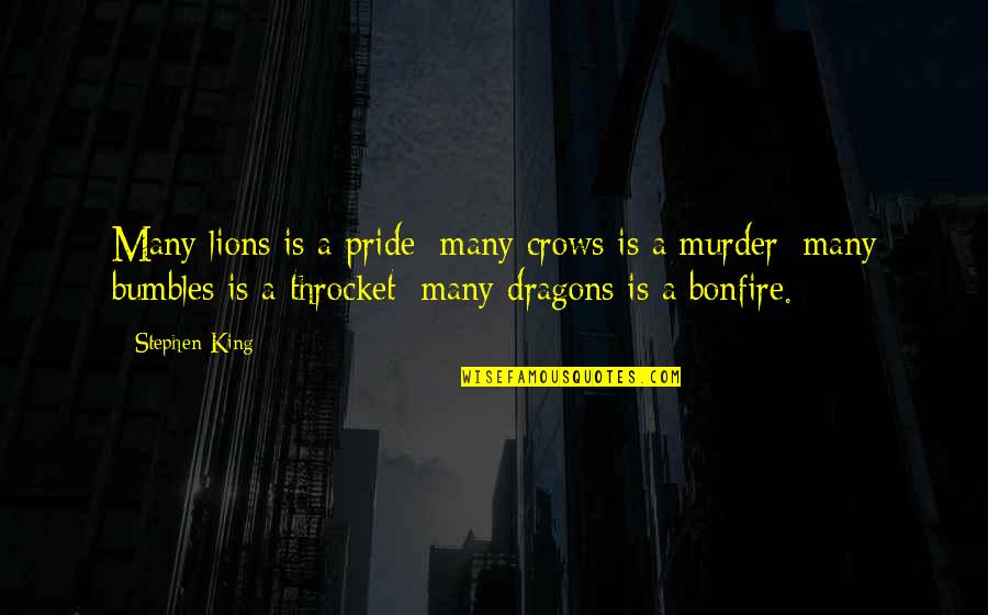 When She Touches Me Quotes By Stephen King: Many lions is a pride; many crows is