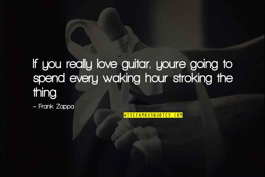 When Shes Mad At You Quotes By Frank Zappa: If you really love guitar, you're going to