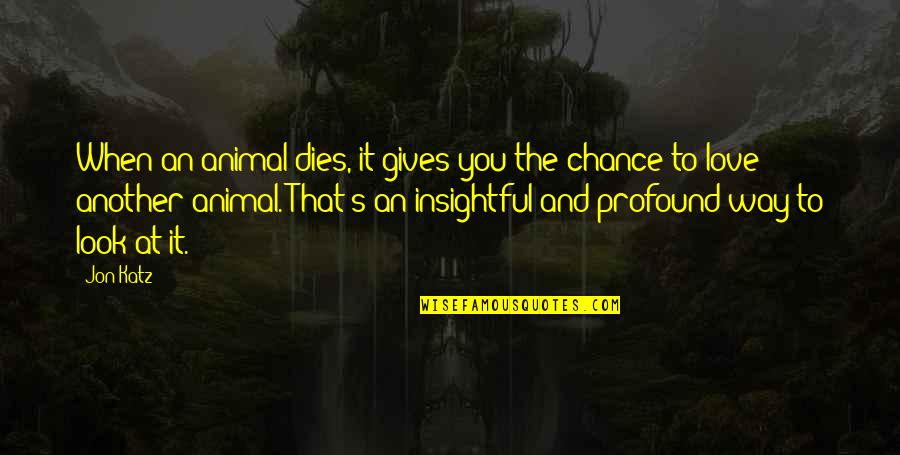 When Some You Love Dies Quotes By Jon Katz: When an animal dies, it gives you the When Some You Love Dies Quotes By Jon Katz: When an animal dies, it gives you the