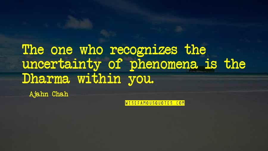When Someone Die Quotes By Ajahn Chah: The one who recognizes the uncertainty of phenomena
