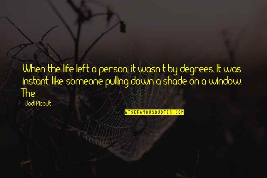 When Someone Is Down And Out Quotes By Jodi Picoult: When the life left a person, it wasn't