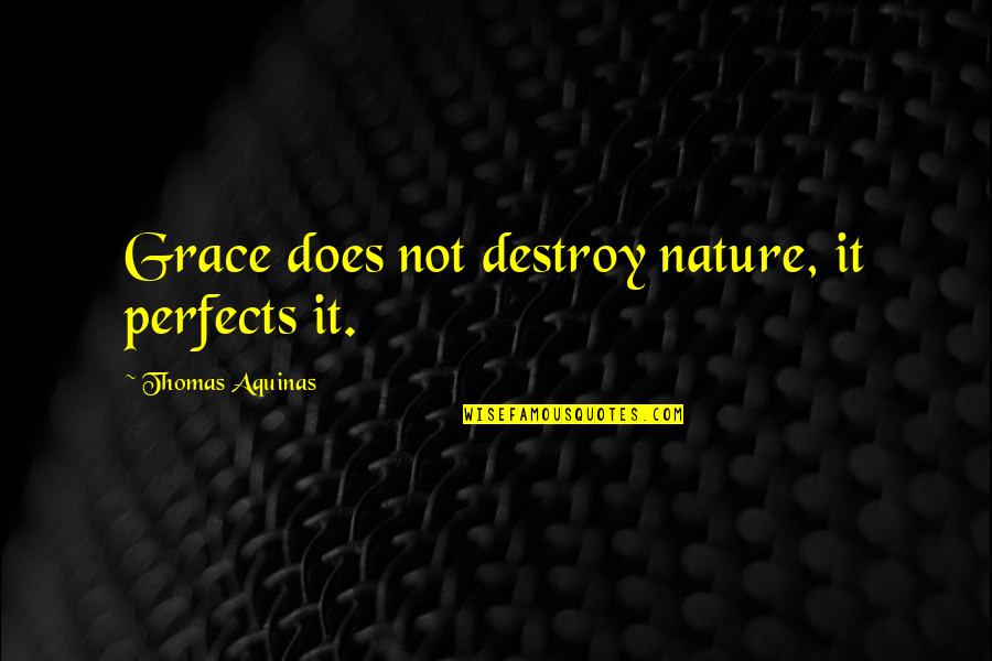 When Someone Is Sad Quotes By Thomas Aquinas: Grace does not destroy nature, it perfects it.