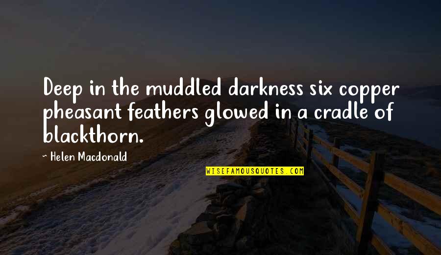 When Someone Surprises You Quotes By Helen Macdonald: Deep in the muddled darkness six copper pheasant When Someone Surprises You Quotes By Helen Macdonald: Deep in the muddled darkness six copper pheasant