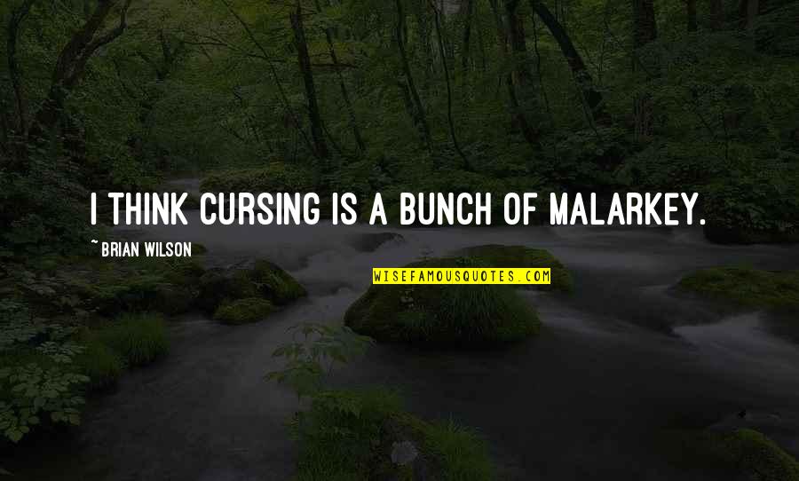 When Something Good Happens Something Bad Follows Quotes By Brian Wilson: I think cursing is a bunch of malarkey.