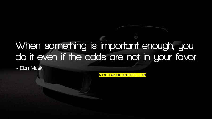 When Something Is Important To You Quotes By Elon Musk: When something is important enough, you do it