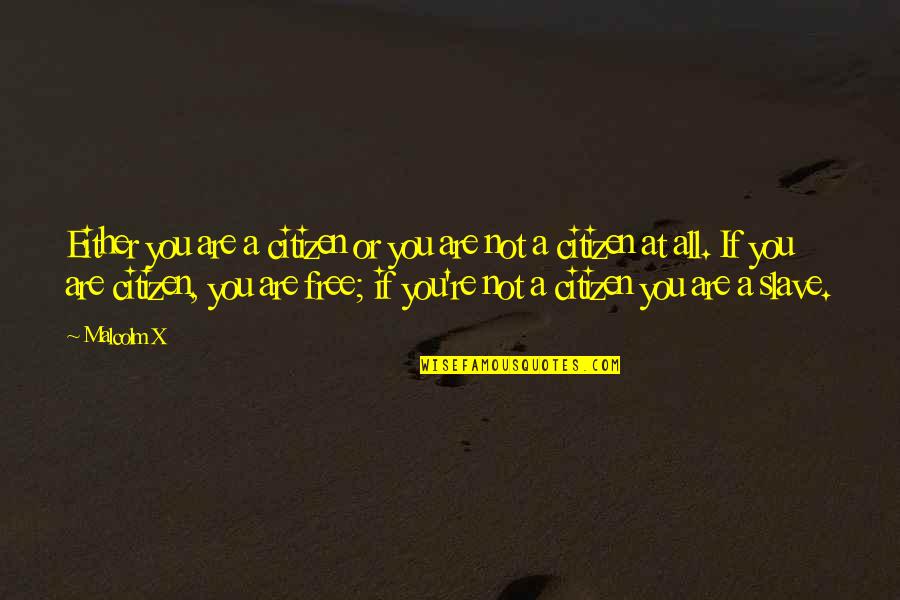 When The Sun Hits Your Face Quotes By Malcolm X: Either you are a citizen or you are When The Sun Hits Your Face Quotes By Malcolm X: Either you are a citizen or you are