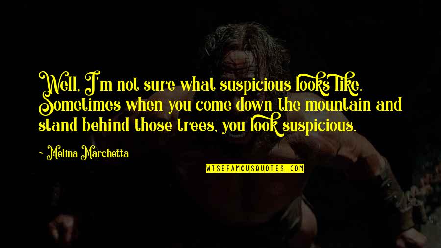 When They Look Down On You Quotes By Melina Marchetta: Well, I'm not sure what suspicious looks like.