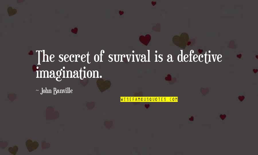 When Things Get Hard Quotes By John Banville: The secret of survival is a defective imagination.