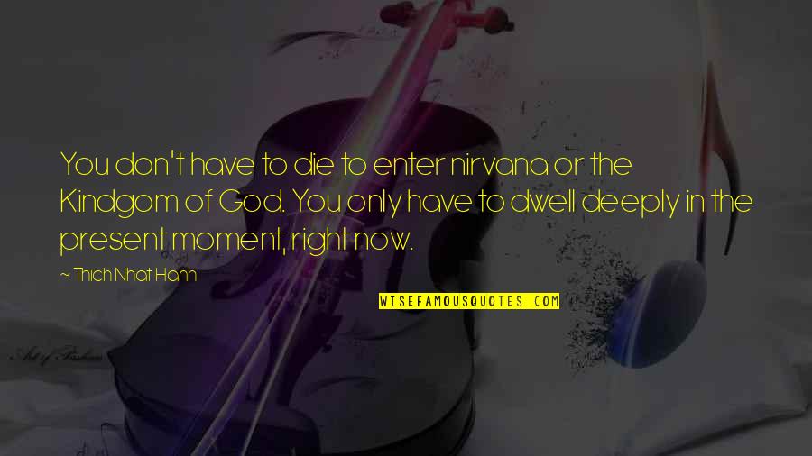 When Things Look Bleak Quotes By Thich Nhat Hanh: You don't have to die to enter nirvana