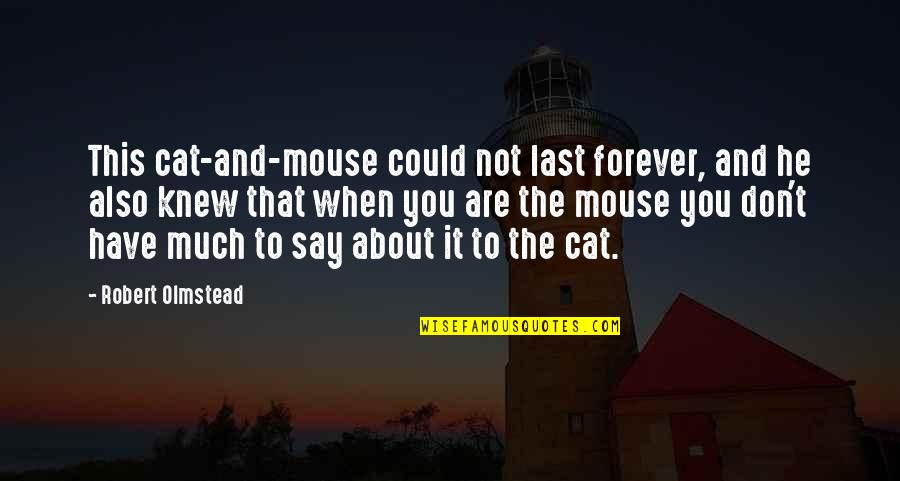 When To Say When Quotes By Robert Olmstead: This cat-and-mouse could not last forever, and he