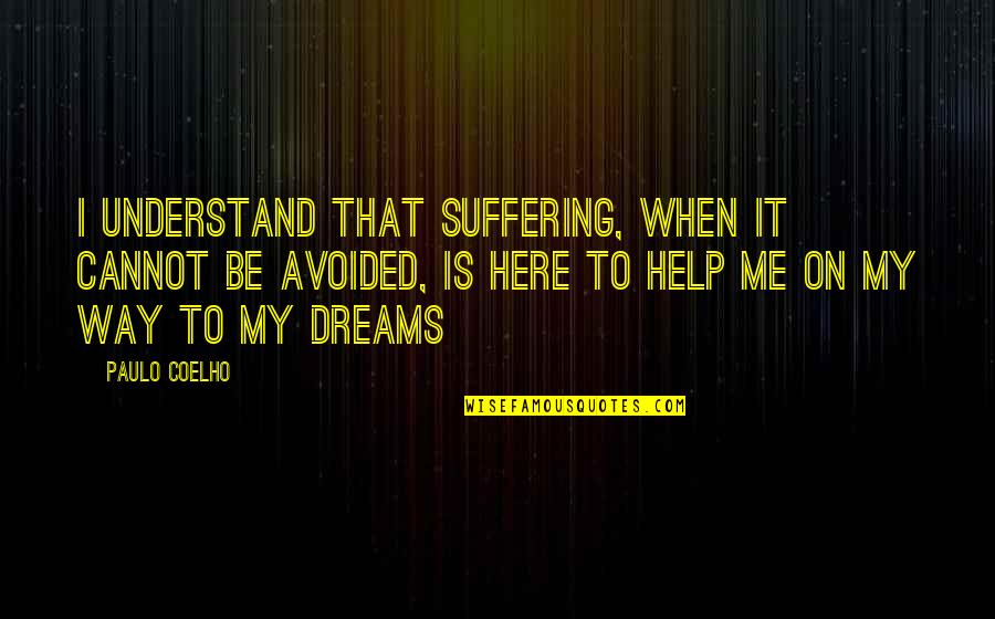 When U Understand Me Quotes By Paulo Coelho: I understand that suffering, when it cannot be