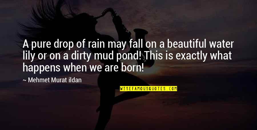 When We Fall Quotes By Mehmet Murat Ildan: A pure drop of rain may fall on