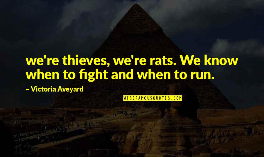 When We Fight Quotes By Victoria Aveyard: we're thieves, we're rats. We know when to