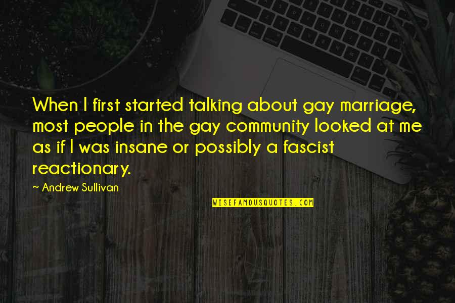 When We First Started Talking Quotes By Andrew Sullivan: When I first started talking about gay marriage,