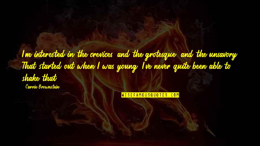 When We Were Young Quotes By Carrie Brownstein: I'm interested in the crevices, and the grotesque,